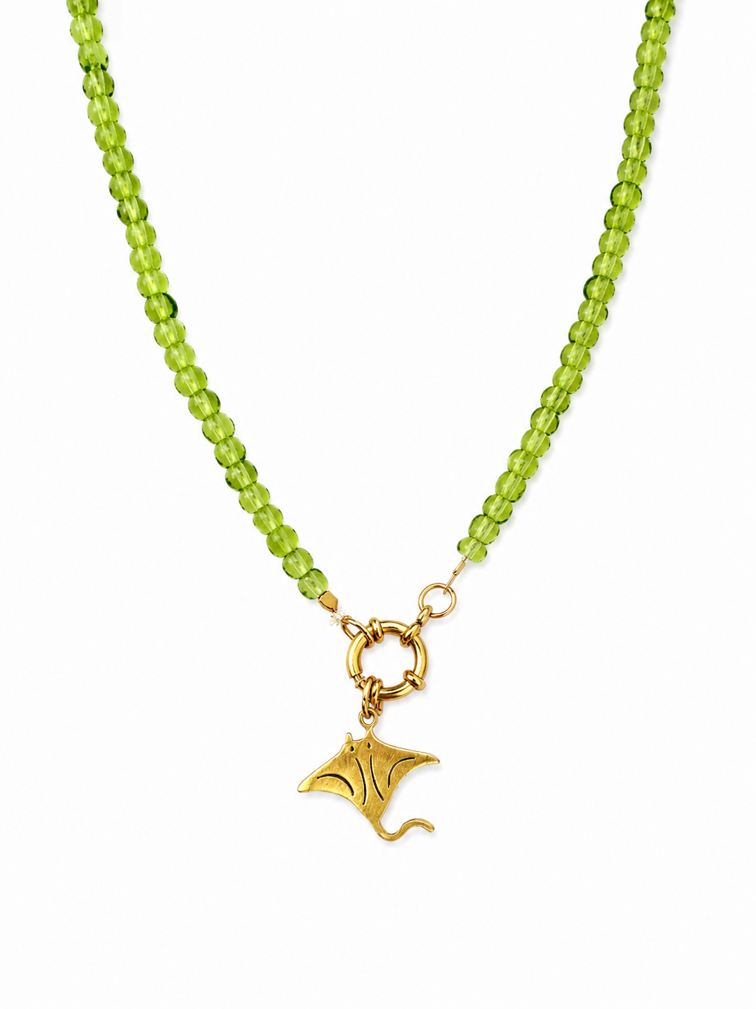 Ocean Treasure