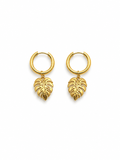 Monstera Blatt Ohrringe Edelstahl