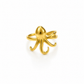 Ocean Flow Ring