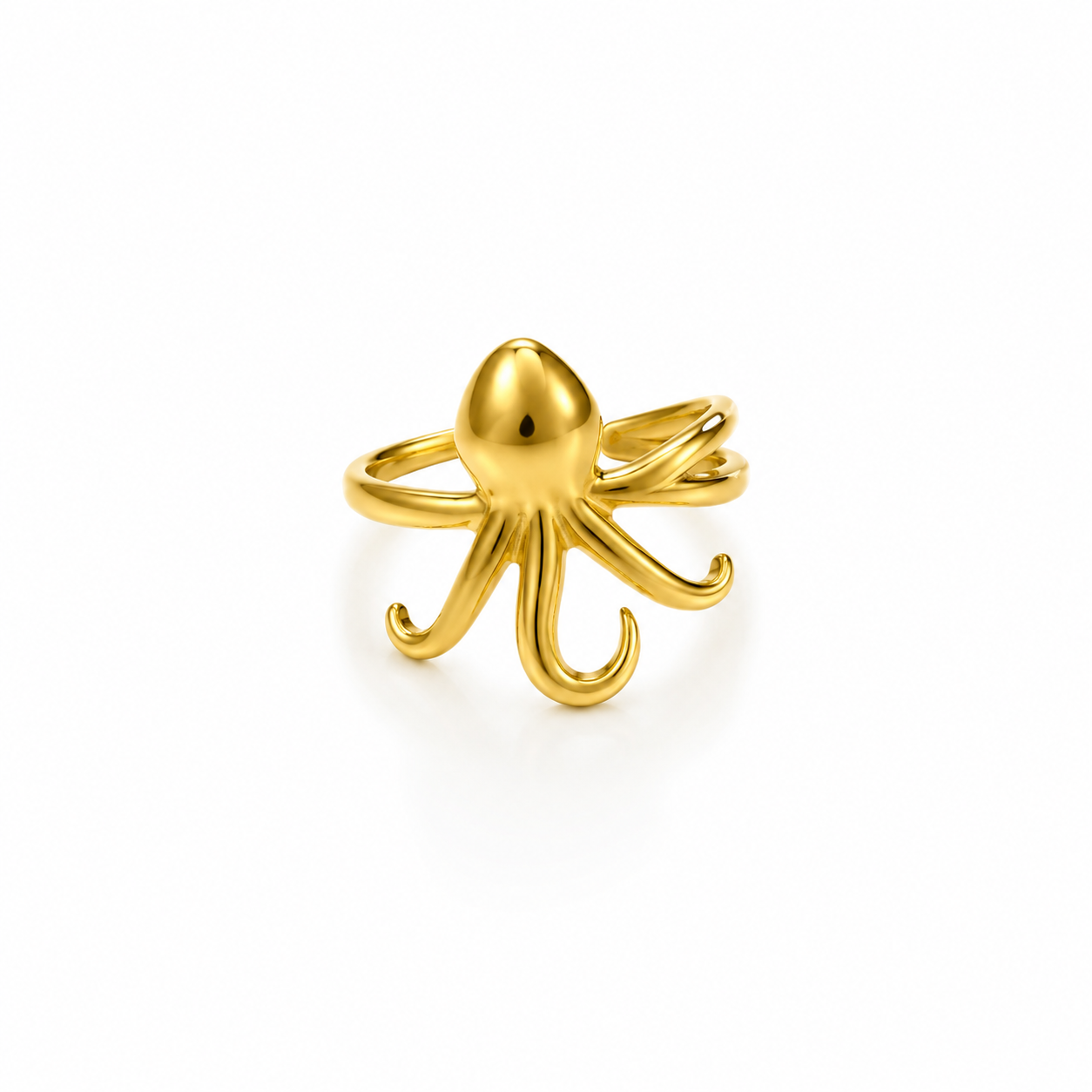 Ocean Flow Ring