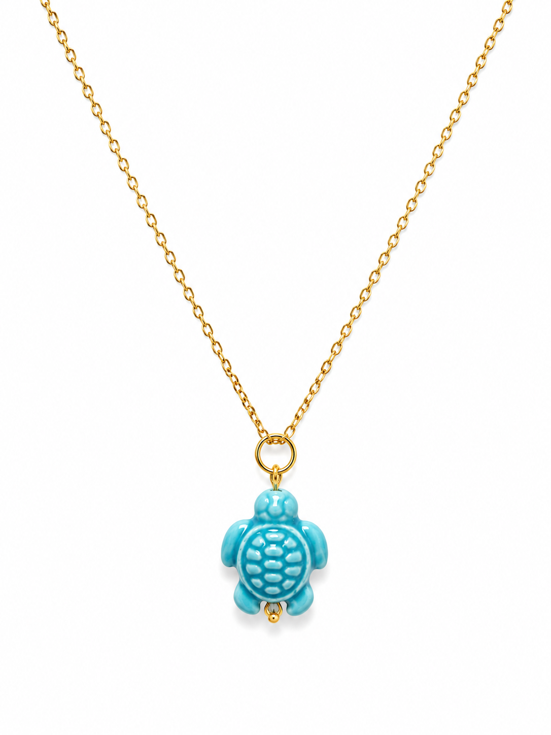 Blue Turtle